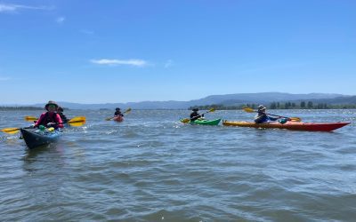 Where is Skamokawa and Why is it a Haven for Kayaking?
